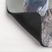 Acorn Woodpecker Muismat (Hoek)