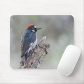 Acorn Woodpecker Muismat (Met muis)