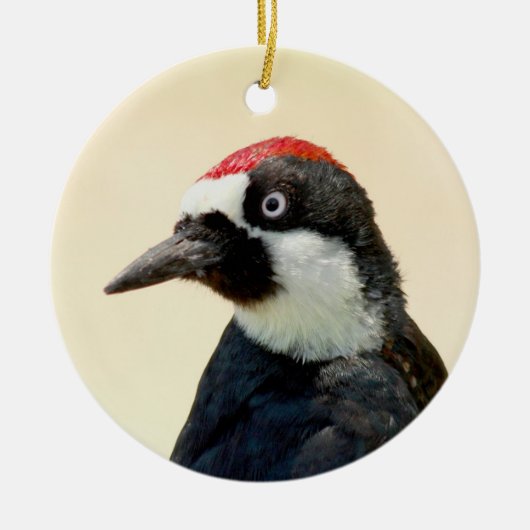 Acorn Woodpecker Portrait Keramisch Ornament (Voorkant)