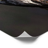 Acorn Woodpecker Poster (Hoek)