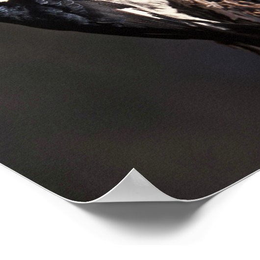 Acorn Woodpecker Poster (Hoek)