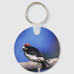 Acorn Woodpecker Sleutelhanger