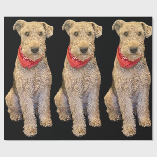 Acorn Wrapping Paper - Black Cadeaupapier (Vlak)