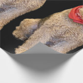 Acorn Wrapping Paper - Black Cadeaupapier (Hoek)