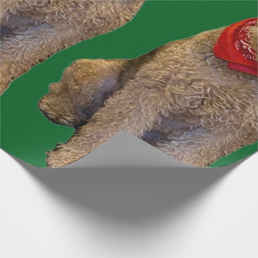 Acorn Wrapping Paper Cadeaupapier (Hoek)