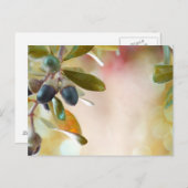 Acorns Briefkaart (Voorkant / Achterkant)