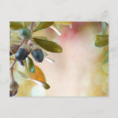 Acorns Briefkaart (Voorkant)