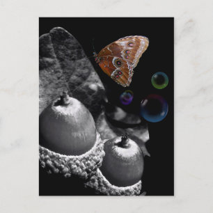Acorns Butterfly en Bubbles Briefkaart