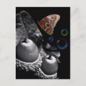 Acorns Butterfly en Bubbles Briefkaart (Voorkant)