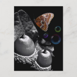 Acorns Butterfly en Bubbles Briefkaart
