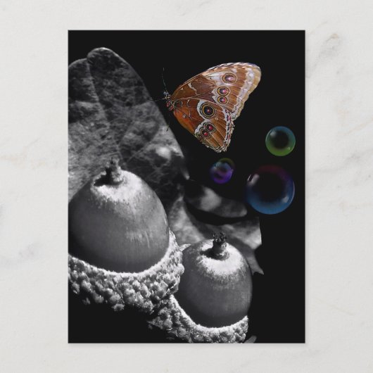 Acorns Butterfly en Bubbles Briefkaart (Voorkant)