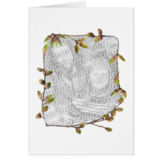 Acorns-fotokaart (Voorkant)