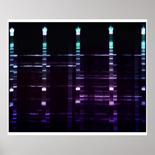 ACR-gel - 2 Poster (Voorkant)