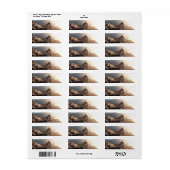 Acrocanthosaurus 2 etiket (Full Sheet)