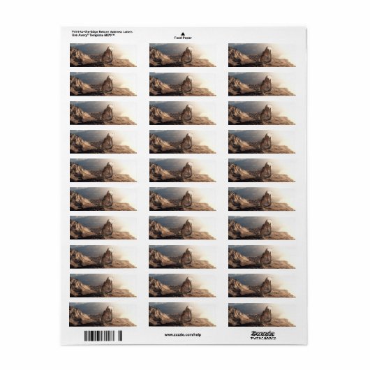 Acrocanthosaurus 2 etiket (Full Sheet)