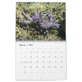 Acroporid Corals Wall Calendar van J.W. Fatherree. Kalender (Feb 2027)