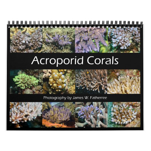 Acroporid Corals Wall Calendar van J.W. Fatherree. Kalender (Hoes)