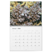 Acroporid Corals Wall Calendar van J.W. Fatherree. Kalender (Jan 2026)