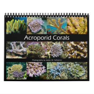 Acroporid Koralen Muurkalender door J.W. Fatherree Kalender