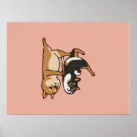 Acroyoga Shiba Inu | Cute Shiba Inu Yoga Lovers