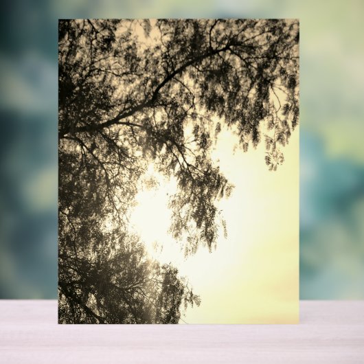 Acryl bord (Neutraal)