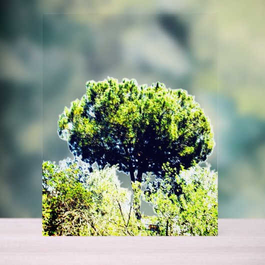 Acryl bord (Neutraal)