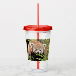 Acryl drinkbeker. Foto: rode panda, panda roux. Drinkbeker