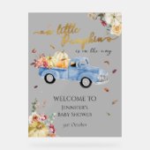 Acryl Little Pumpkin Baby shower Welkomstbord Acryl Bord (Voorkant)