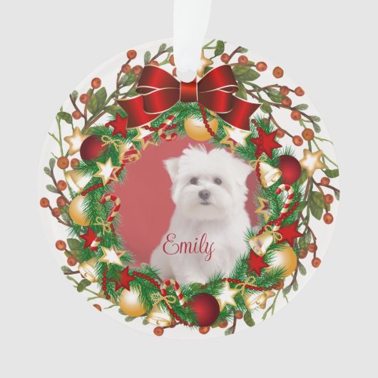 Acryl Ornament-personaliseer het met uw afbeelding Ornament (voorkant)