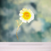 Acryl teken ART DESIGN STIJL Acryl Bord (Neutraal)