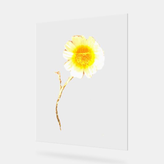 Acryl teken ART DESIGN STIJL Bord (Hoek)