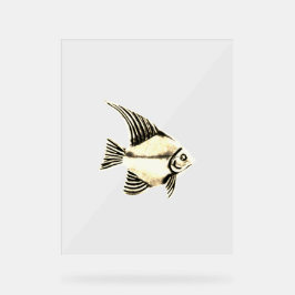 ACRYL TEKEN FISH DESIGN STIJL ACRYL BORD