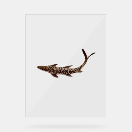 Acryl teken FISH STYLE DESIGN Bord (Voorkant)