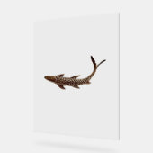 Acryl teken FISH STYLE DESIGN Bord (Hoek)