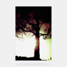 ACRYL TEKEN KOELE ECO DESIGN STIJL