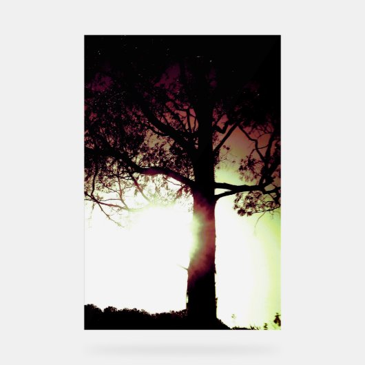 ACRYL TEKEN KOELE ECO DESIGN STIJL ACRYL BORD (Voorkant)