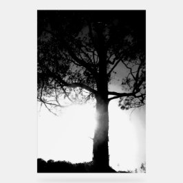 ACRYL TEKEN KOELE ECO DESIGN STIJL BORD