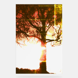 ACRYL TEKEN KOELE ECO DESIGN STIJL BORD