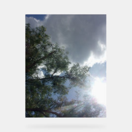 Acryl Teken ontwerp stijl blauwe lucht Bord