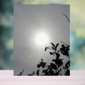 Acryl Teken ontwerpstijl Acryl Bord (Neutraal)