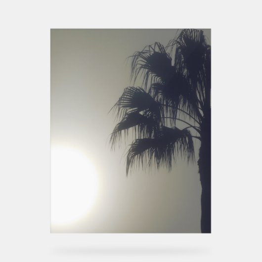 Acryl teken PALM TREE DESIGN STIJL Acryl Bord (Voorkant)