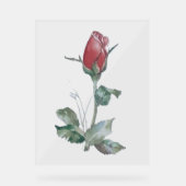 Acryl Teken ROOS BUD DESIGN STIJL Acryl Bord (Voorkant)