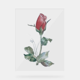 Acryl Teken ROOS BUD DESIGN STIJL Acryl Bord