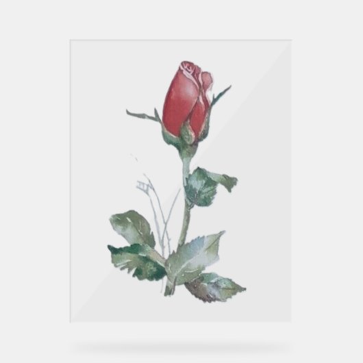 Acryl Teken ROOS BUD DESIGN STIJL Acryl Bord (Voorkant)