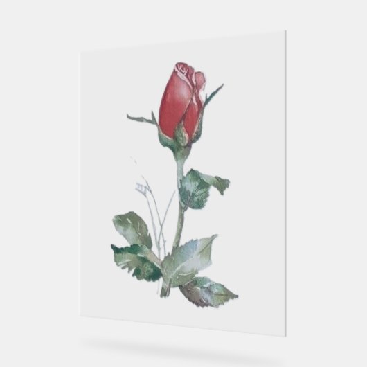 Acryl Teken ROOS BUD DESIGN STIJL Acryl Bord (Hoek)