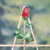 ACRYL TEKEN ROOS BUD ONTWERPSTIJL ACRYL BORD (Neutraal)