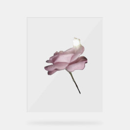 ACRYL TEKEN ROOS ONTWERPSTIJL BORD