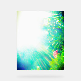 ACRYL TEKEN ROOS ONTWERPSTIJL BORD