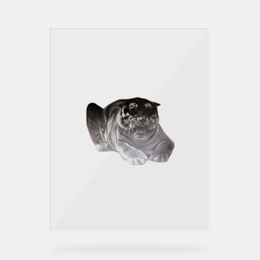 Acryl Teken TIJGER DESIGN STIJL Bord (Voorkant)