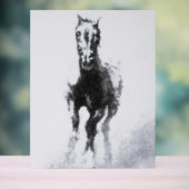 Acryl Teken wilde paard stijl en ontwerp Bord (Neutraal)